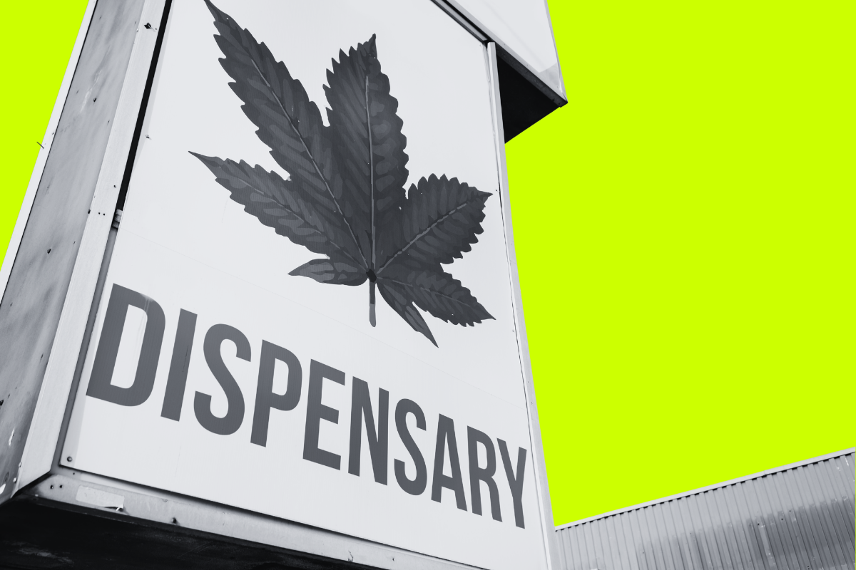 Looking for an SEO Partner That Understands Cannabis? Here's What to Check First